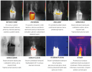 FT31 - Termokamera pro hasiče - #5